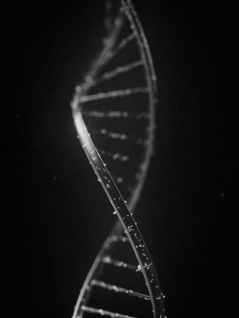 3D DNA double helix render