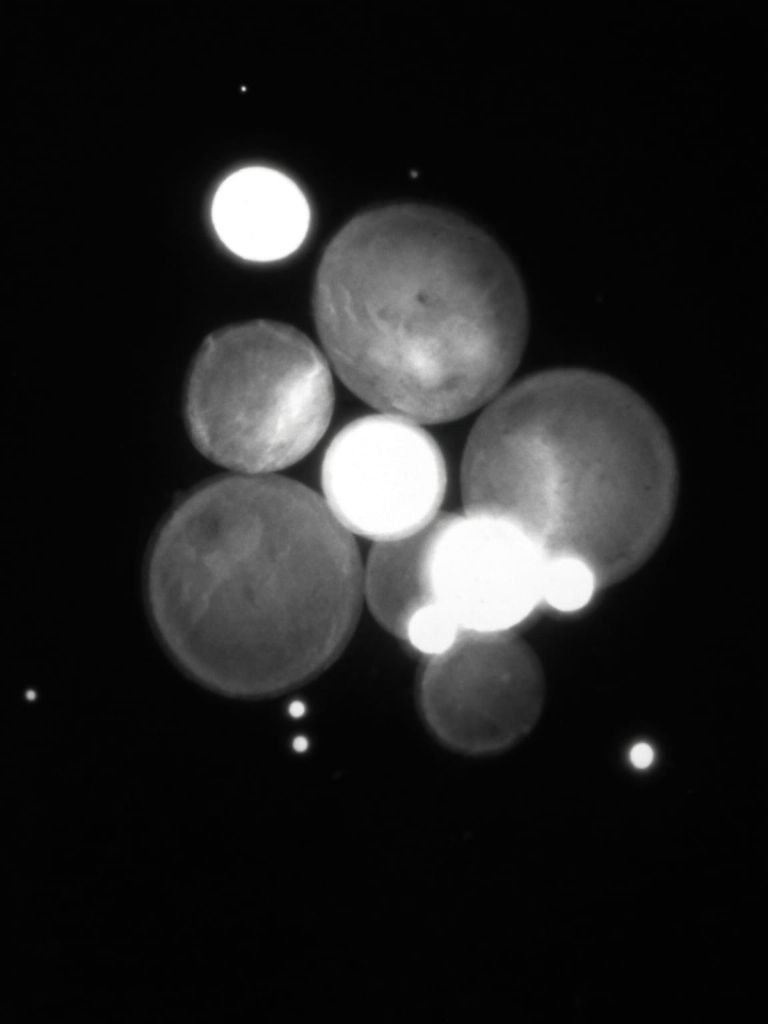 Stem cell spheres representing the dimension of Purpose
